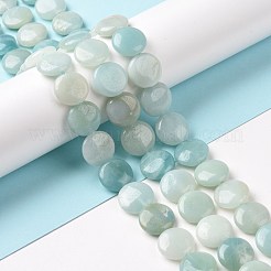 Fili di perline amazonite naturale&nbsp;G-C238-09
