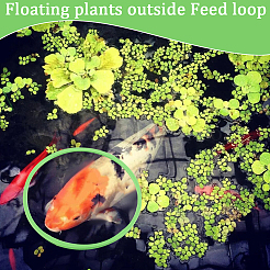 2 комплект колец для кормления рыб из вспененного eva AJEW-CN0002-52B