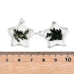 Эпоксидная смола подвески&nbsp;RESI-T058-02B