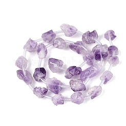 Brins de perles d'améthyste naturelle brute brute&nbsp;G-Q610-04