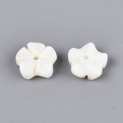 Резные бусины из натуральных пресноводных ракушек&nbsp;SHEL-N038-36