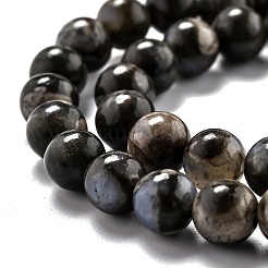 Бусины из натурального глаукофана G-O199-01B