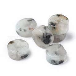 Натуральный кунжут яшма / киви нитки бусины яшмы G-Z006-C22