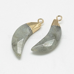 Природные подвески лабрадорита G-Q494-80D