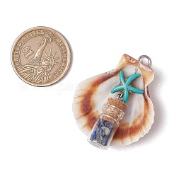 7 шт. 7 стиля подвески в виде морской звезды из натуральной ракушки гребешка и окрашенной синтетической бирюзы&nbsp;PALLOY-JF03564-01