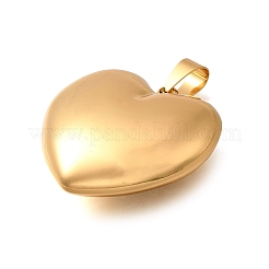 Pendentifs en acier inoxydable 304&nbsp;LS-STAS-H200-01G-15