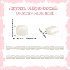 1 нить бусины из натуральных пресноводных ракушек SHEL-LP0001-06