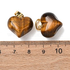 Pendentifs en œil de tigre naturel&nbsp;G-B188-04G-05