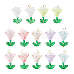 Transparentem Acrylblumenanhänger&nbsp;PALLOY-TADJ00011