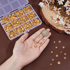 640 шт. 12-х стилистические колпачки из железа и сплава&nbsp;IFIN-PH0002-37