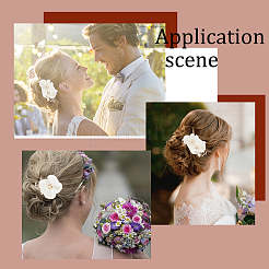 1 комплект свадебных заколок для волос из сплава аллигатора OHAR-GA0001-05