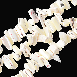 1 нить окрашенных натуральных бусин из ракушек трохус SSHEL-PA0001-01B