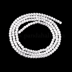 Кошачие глаза&nbsp;CE-C007-A12-2MM