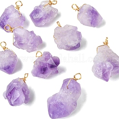 10 шт. Подвески из натурального аметиста&nbsp;PALLOY-CJ00158