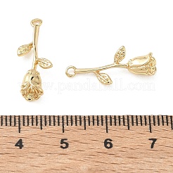 Pendentifs en laiton&nbsp;KK-C259-09G