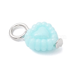 Непрозрачные акриловые подвески&nbsp;PALLOY-JF04351-01