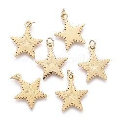 Ионное покрытие (ip) подвески из нержавеющей стали 304&nbsp;STAS-H100-41G