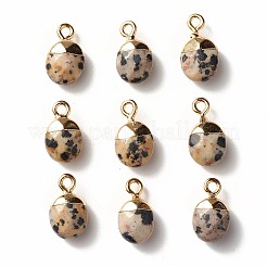 Placca di diaspro naturale dalmata naturale&nbsp;G-S344-09C