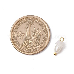 12 шт. цветочные акриловые подвески&nbsp;PALLOY-JF03588