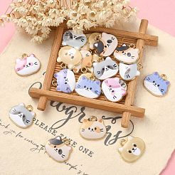 30шт 6 стиля подвески из сплава с эмалью&nbsp;ENAM-CJ0003-89