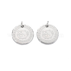 Подвески из нержавеющей стали 304&nbsp;STAS-N097-159P