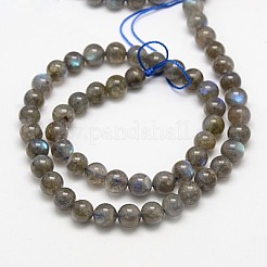 Природные лабрадорита бисер нитей G-J120-28-8mm-A