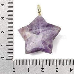 Ciondoli in ametista naturale fasciata&nbsp;G-Z157-01G-09