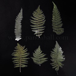 6 шт. клейкие водонепроницаемые наклейки для домашних животных DIY-K074-01E