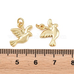 Messing Anhänger & Charms&nbsp;KK-L275-58G-02