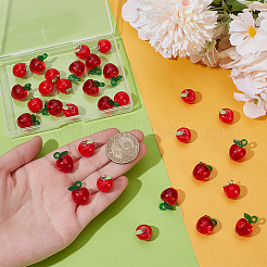 32шт 2 стиля подвески из смолы&nbsp;RESI-UN0001-08