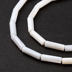天然淡水シェルビーズ連売り  コラム  貝殻色  13x4mm  穴：0.8mm  約30個/連  15.16''（38.5センチメートル）&nbsp;X-SHEL-M018-10