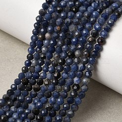 Sodalite naturale fili di perle&nbsp;G-P279-58-3mm-01