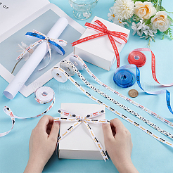 6 рулон 6-х цветной полиэфирной ленты&nbsp;OCOR-UN0001-12