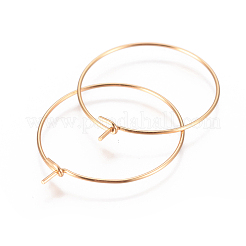 Фурнитура для сережек-колец из нержавеющей стали 304&nbsp;LS-STAS-I120-60B-G