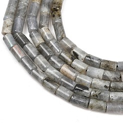Natur Labradorit Perlen Stränge&nbsp;G-F832-B10-01