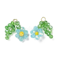 Подвески из стеклянных бусин&nbsp;GLAA-C028-07B