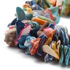 Натуральные спиральные бусы из ракушек BSHE-B003-17