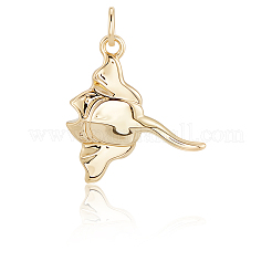 12 шт. подвески из латуни в виде манты&nbsp;KK-BBC0019-77