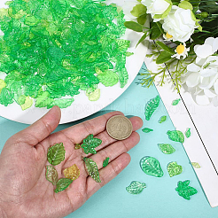 540pcs 12 Arten transparente Acrylanhänger&nbsp;OACR-PA0001-50