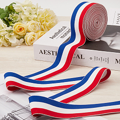 4.7 ярд плоской нейлоновой полосатой резинки OCOR-GF0003-84C
