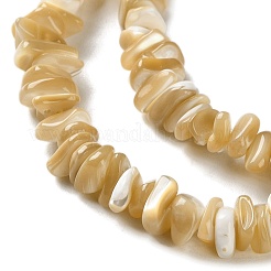 Нити бусин из натуральной ракушки трохус SHEL-G020-01