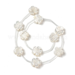 パールシェルビーズの天然な白いシェルマザーオブパール  桃の花  乳白色  13x13x5mm  穴：0.7mm  約10個/連  12.60''（32センチメートル）&nbsp;BSHE-B005-09