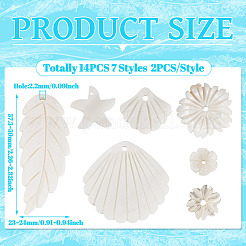 14шт 7 стиля подвески из натуральных пресноводных ракушек SHEL-TA0001-24