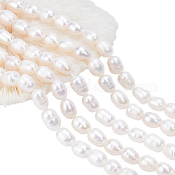 Pandahall 110 pz perle d'acqua dolce coltivate naturali, 5 fili forati perle di perle sciolte conchiglia colore riso a forma di perle per collane bracciali creazione di gioielli fai da te artigianato 7~9mm