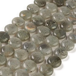 Chapelets de perles en labradorite naturelle , plat rond, 14.6~15.5x6~6.5mm, Trou: 0.8mm, Environ 27 pcs/chapelet, 15.59''~15.87'' (39.6~40.3 cm)
