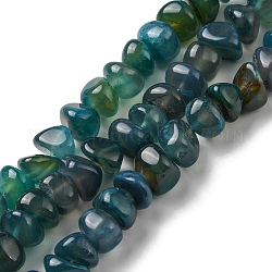 Chapelets de perles d'agate naturelle, teinte, pépites, sarcelle, 7.5~10x11.5~13x10.5~13mm, Trou: 1.2mm, Environ 44 pcs/chapelet, 14.17~14.41 pouce (36~36.6 cm)