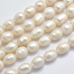 Brins de perles de culture d'eau douce naturelles, ovale, beige, 10~14x9~10mm, Trou: 0.8mm, Environ 34 pcs/chapelet, 13.8 pouce (35 cm)