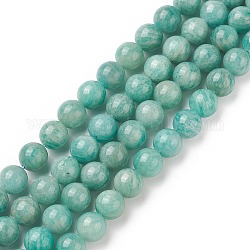 Fili di perline amazonite naturale, tondo, grado a, 10mm, Foro: 1 mm, circa 37pcs/filo, 15.35 pollice (39 cm)