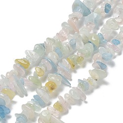 Chapelets de perles en morganite naturelle, puce, 8~15x5~10x2~7mm, Trou: 1mm, Environ 245~270 pcs/chapelet, 33.07~33.85 pouce (84~86 cm)