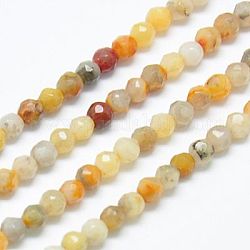 Chapelets de perles en agate fou naturel, teinte, facette, ronde, colorées, 2mm, Trou: 0.5mm